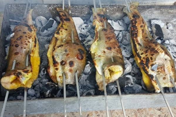 تصویر 3 از قیمت خرید عمده ماهی اوزون برون